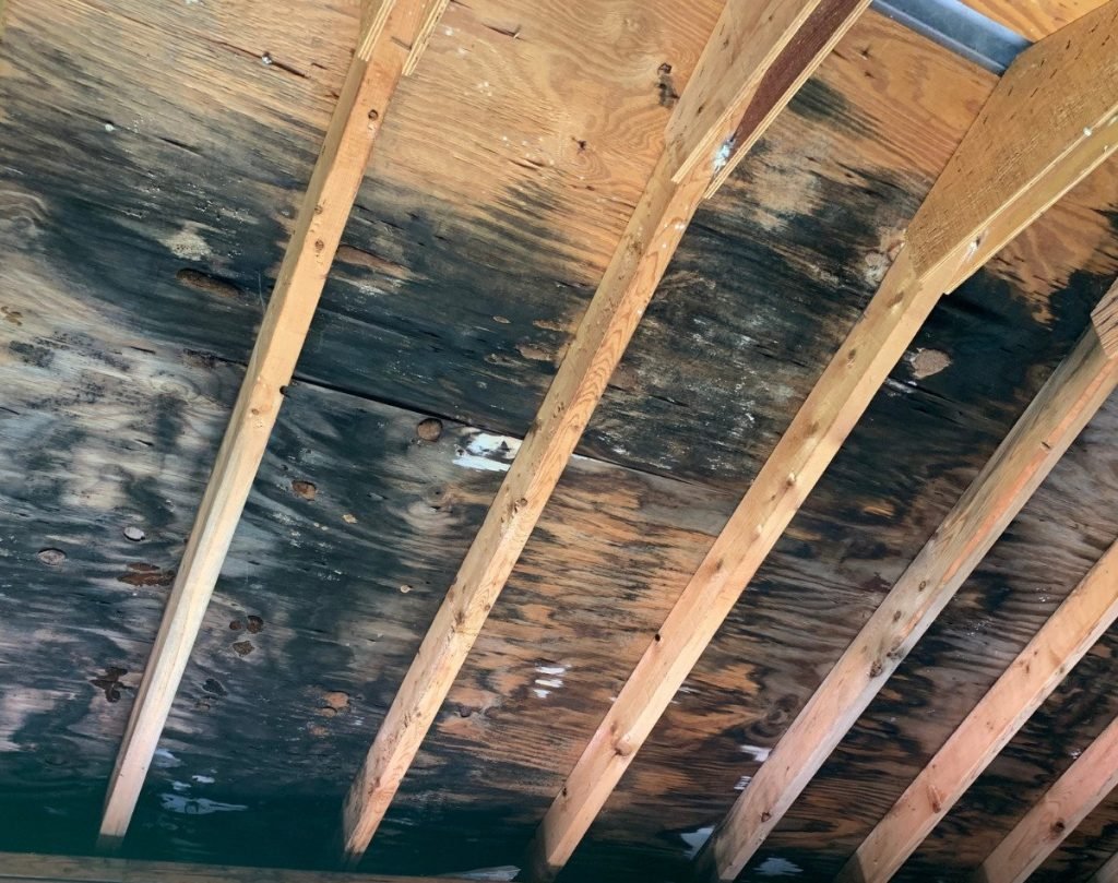 Water damage in attic from roof leak
