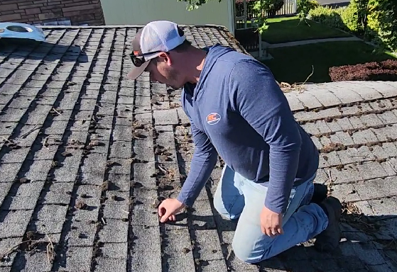 free roof Inspection of damaged roof that might need a winter roof repair in spokane and how to remove moss from a roof