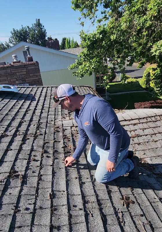 free roof Inspection of damaged roof that might need a winter roof repair in spokane