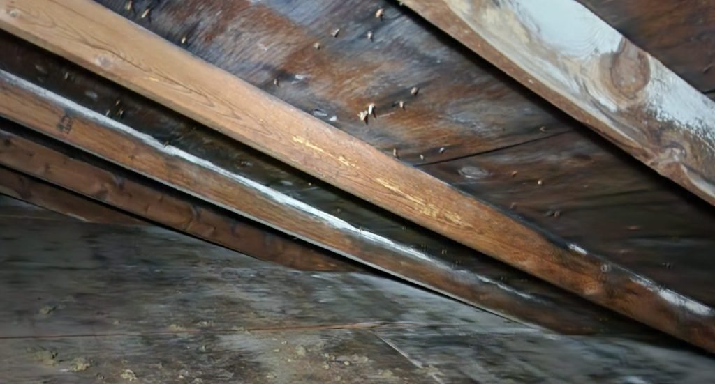 roof in need of a roof leak repair in Spokane