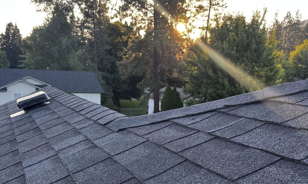Singled roof in setting sun